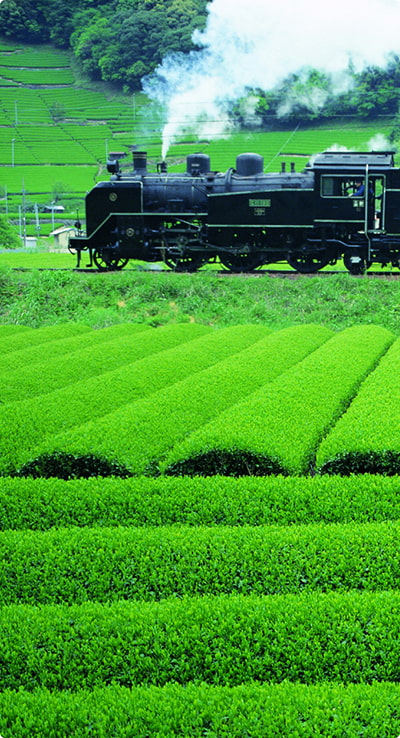 静岡のロケーション イメージ画像