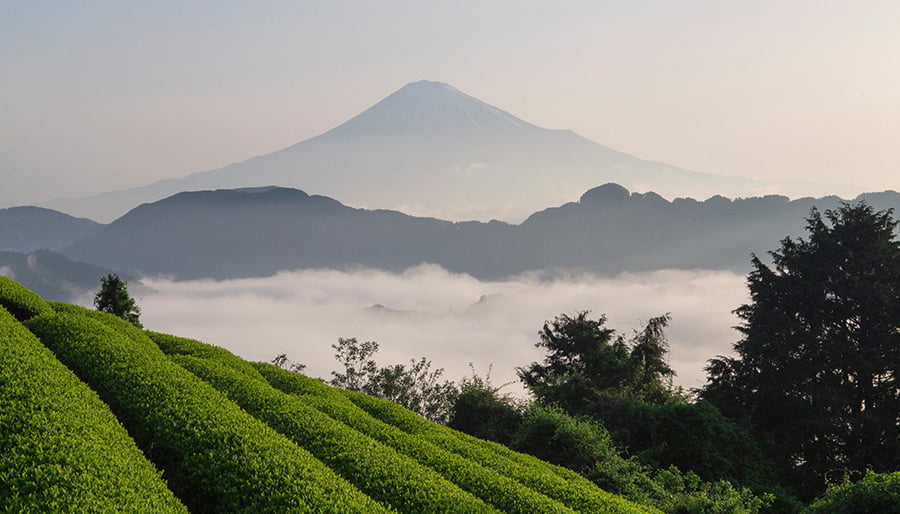 ロケ地イメージ画像
