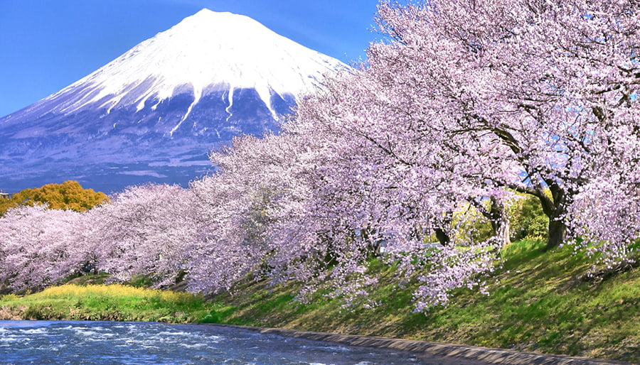 富士のロケ地イメージ画像