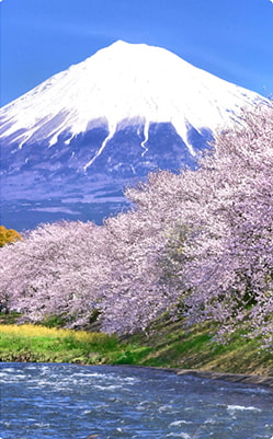 富士　富士市・潤井川のイメージ画像