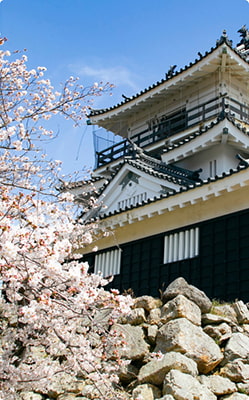 西部　浜松市・浜松城のイメージ画像