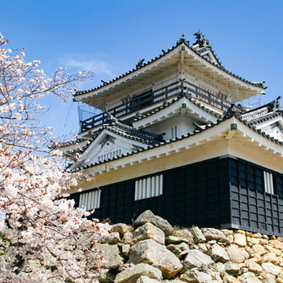西部　浜松市・浜松城のイメージ画像