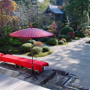 静岡 ロケ地 イメージ画像