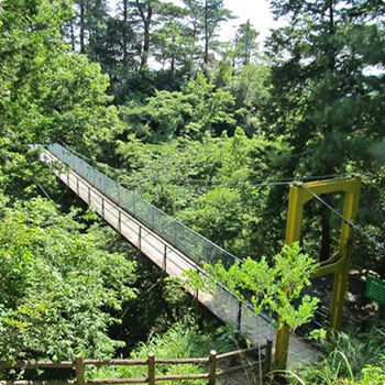 静岡 ロケ地 イメージ画像
